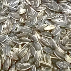 SEMILLA DE GIRASOL CON CASCARA X 250 gr