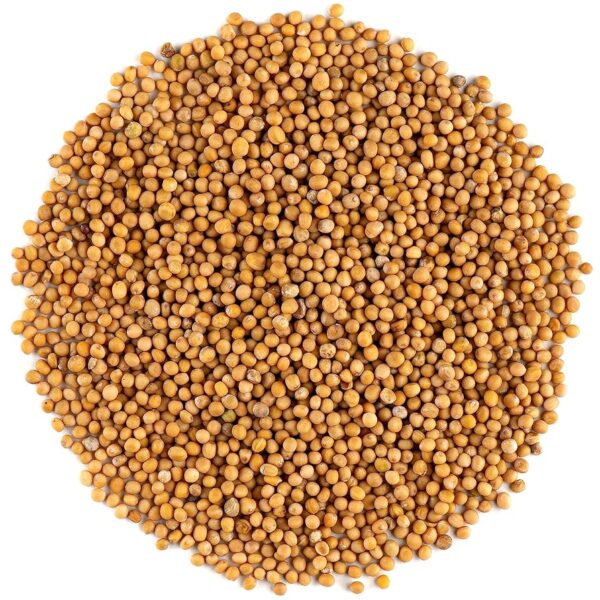 MOSTAZA EN GRANO AMARILLA X 250 gr