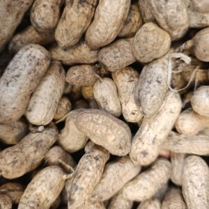 CACAHUATE X 250 gr