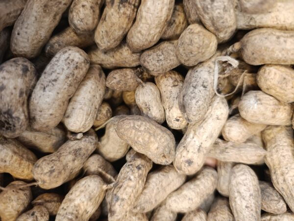 CACAHUATE X 250 gr