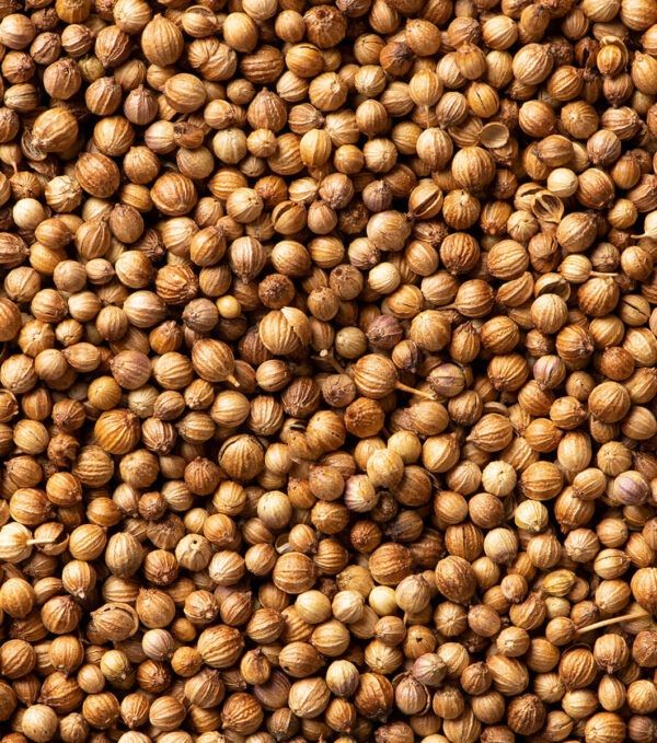 SEMILLA DE CORIANDRO X 250 gr