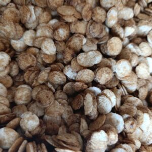 CHIPS KRAKER DE ARROZ SAZONADO X 250 gr