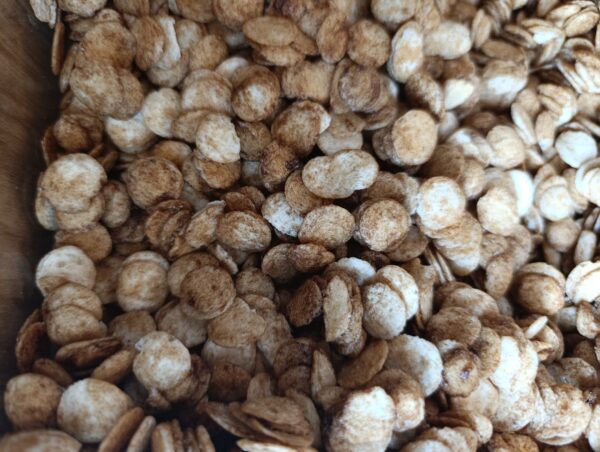 CHIPS KRAKER DE ARROZ SAZONADO X 250 gr