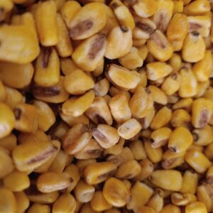 MAIZ TOSTADO X 250 gr