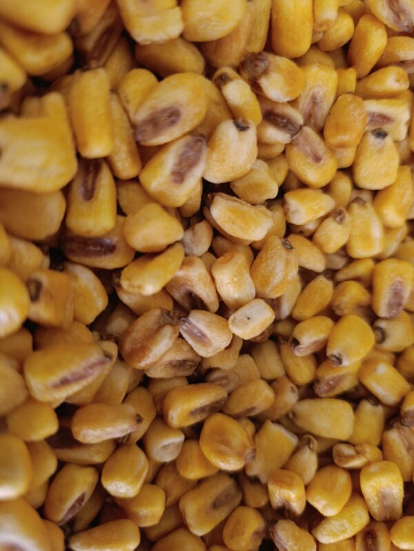 MAIZ TOSTADO X 250 gr