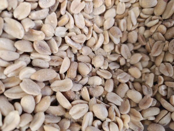 MANI SALADO X 250 gr