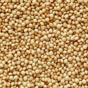 AMARANTO EN GRANO X 250 gr