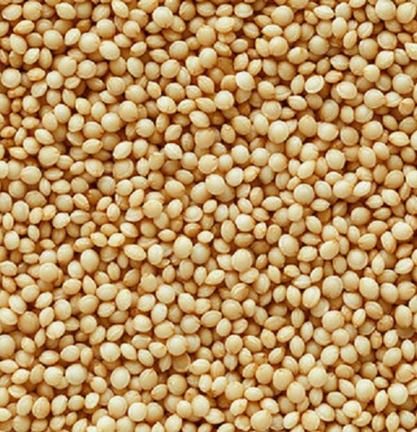AMARANTO EN GRANO X 250 gr